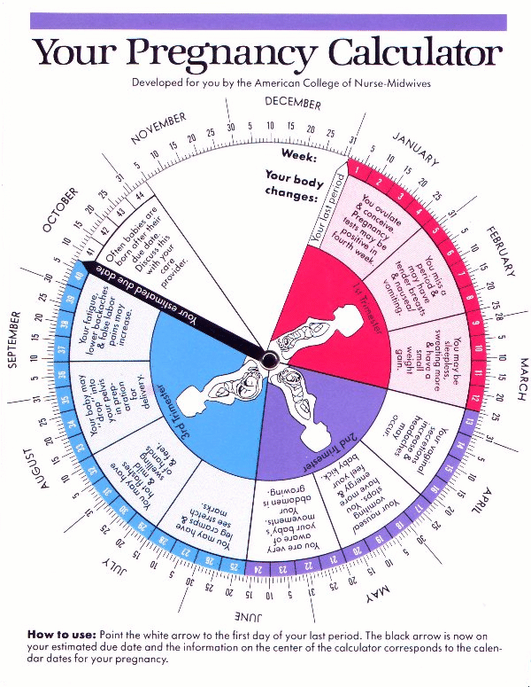 Pregnancy Calculator How To Use It And Know If It S